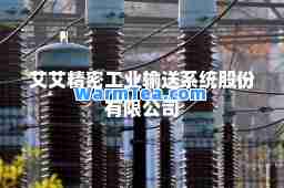艾艾精密工业输送系统股份有限公司