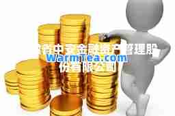 安徽省中安金融资产管理股份有限公司