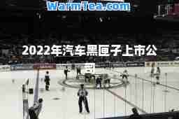 2022年汽车黑匣子上市公司