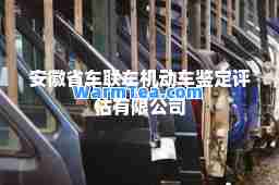 安徽省车联车机动车鉴定评估有限公司