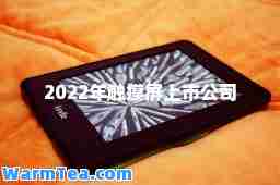 2022年触摸屏上市公司