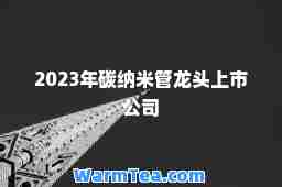 2023年碳纳米管龙头上市公司