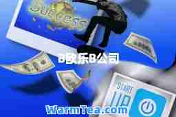 B欧乐B公司