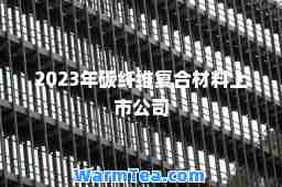 2023年碳纤维复材料上市公司