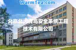 北京北大青鸟安全系统工程技术有限公司