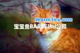 宝宝鱼BABYFISH公司