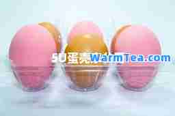 5U蛋壳家公司
