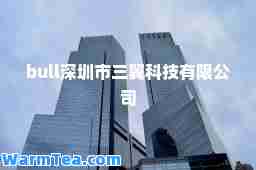 bull深圳市三翼科技有限公司