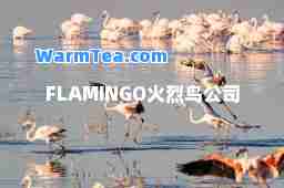 FLAMINGO火烈鸟公司