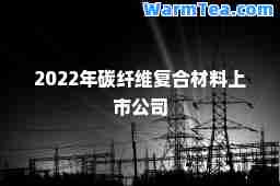 2022年碳纤维复材料上市公司