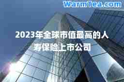 2023年全球市值最高的人寿保险上市公司