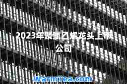 2023年聚氯乙烯龙头上市公司