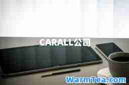 CARALL公司
