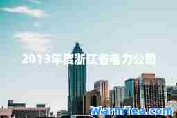2013年度浙江省电力公司