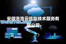 安徽泡泡云信息技术服务有限公司