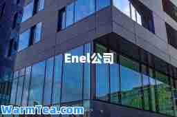 Enel公司