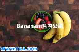 Bananain蕉内公司