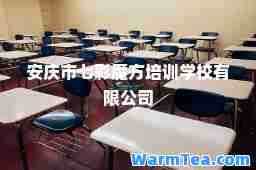 安庆市七彩魔方培训学校有限公司