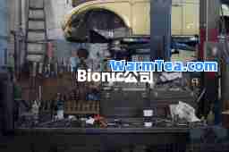 Bionic公司