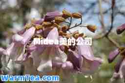 Midea美的公司