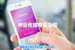 M豆传媒有限公司
