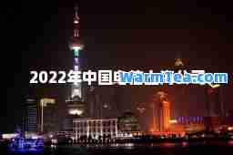 2022年中国电信上海公司