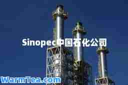 Sinopec中国石化公司