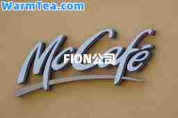 FION公司