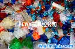 PLAY玩具控公司