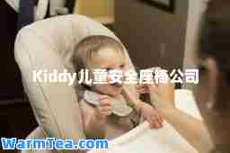 Kiddy儿童安全座椅公司