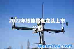 2022年核能核电龙头上市公司