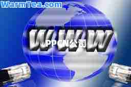 PPCN公司