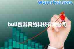 bull搜游网络科技有限公司