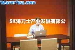SK海力士产业发展有限公司
