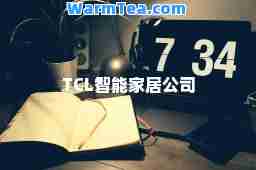 TCL智能家居公司