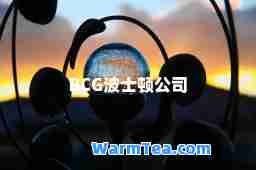 BCG波士顿公司