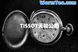 TISSOT天梭公司