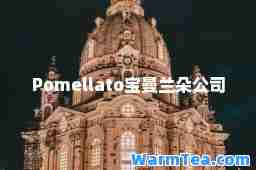 Pomellato宝曼兰朵公司