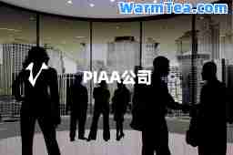 PIAA公司