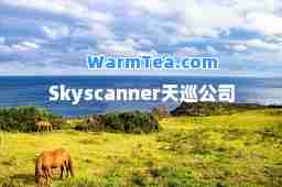 Skyscanner天巡公司