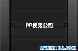 PP视频公司