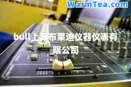 bull上海布莱迪仪器仪表有限公司