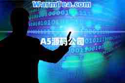 A5源码公司