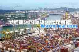 奥维捷运货运代理有限公司