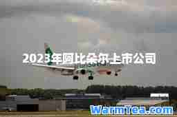 2023年阿比朵尔上市公司