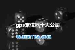 gps定位器十大公司
