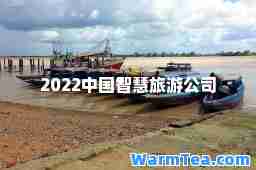 2022中国智慧旅游公司