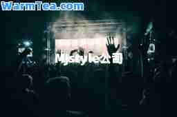 MJstyle公司