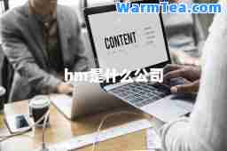 hm是什么公司