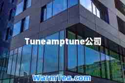 Tuneamptune公司